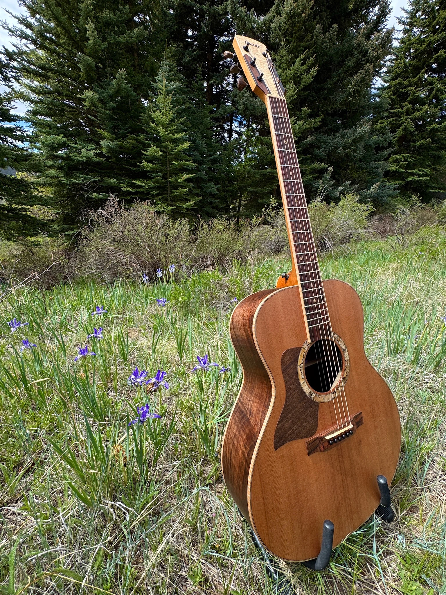 Snowfall Guitar