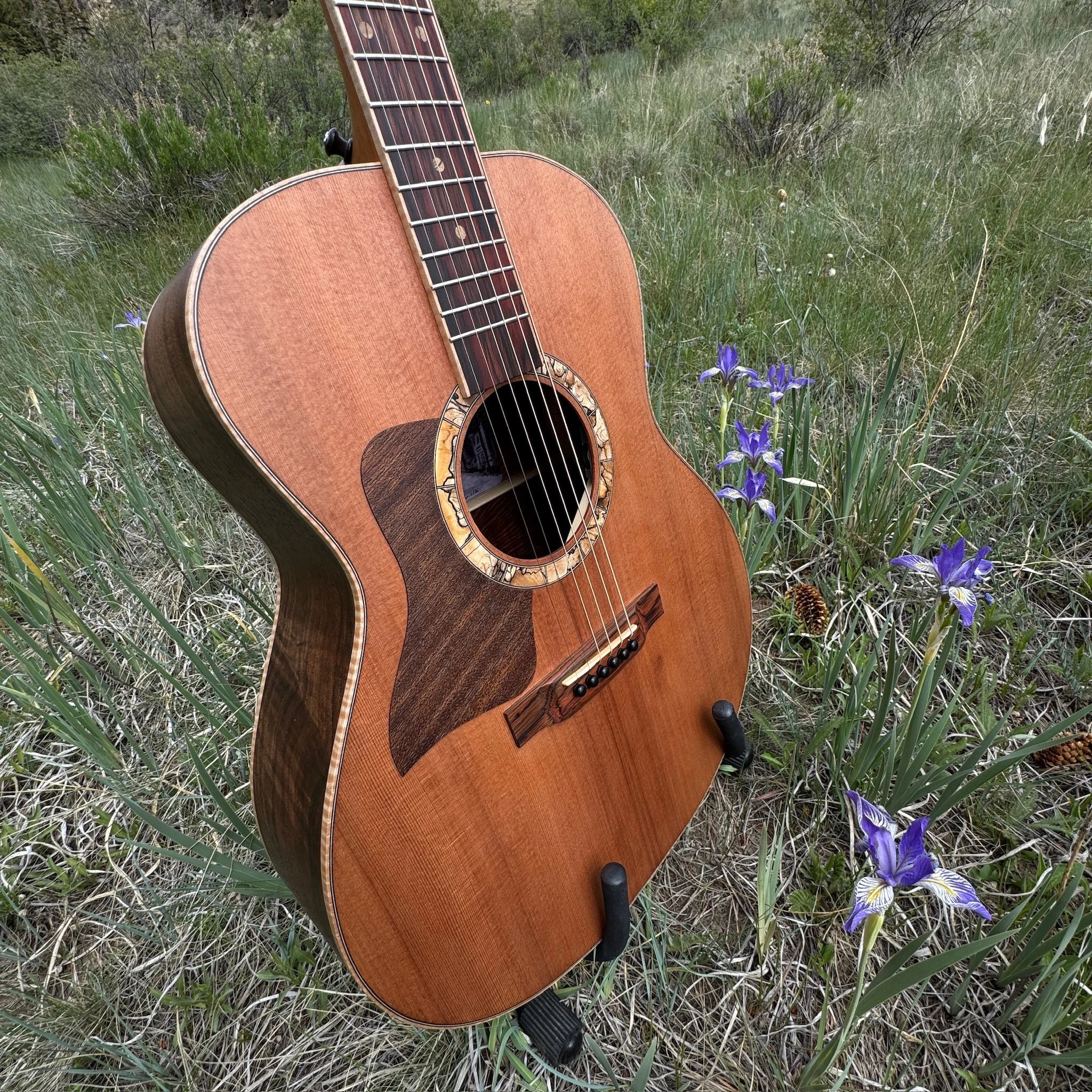 Snowfall Guitar